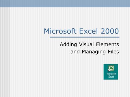 Microsoft Excel 2000 Adding Visual Elements and Managing Files.