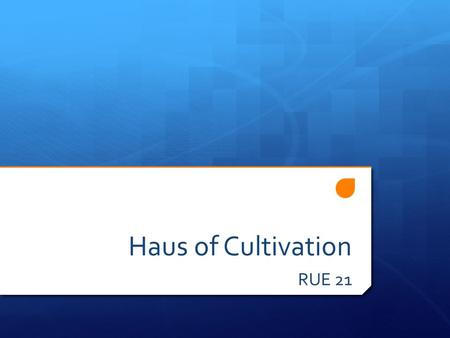 Haus of Cultivation RUE 21. Rue 21 Rue 21 is a self proclaimed fast fashion retailer that targets customers ranging from 11-17 years of age. They operate.