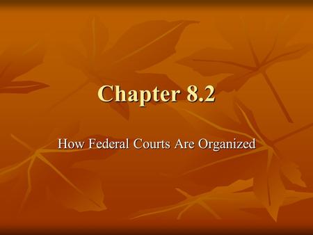 How Federal Courts Are Organized