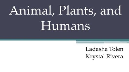 Animal, Plants, and Humans