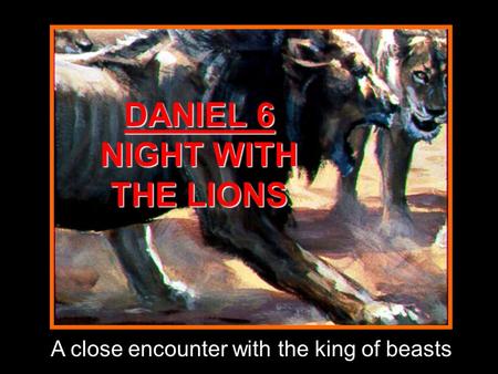 DANIEL 6 NIGHT WITH THE LIONS A close encounter with the king of beasts.