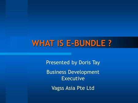 WHAT IS E-BUNDLE ? WHAT IS E-BUNDLE ? Presented by Doris Tay Business Development Executive Vagss Asia Pte Ltd.