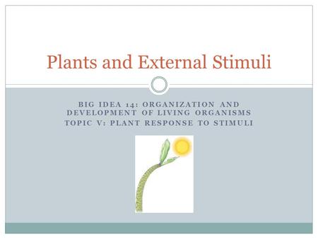 Plants and External Stimuli