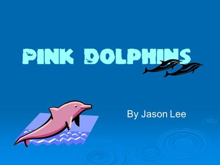 By Jason Lee. What Are Pink Dolphins? Pink dolphins (Sousa chinensis 中華白海豚 ) also known as Chinese White Dolphins or Indo-Pacific Humpback Dolphins are.