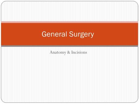 Anatomy & Incisions General Surgery. Incisions A variety of incisions are used The type chosen is dependent on a number of factors Access desired Procedure.