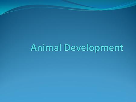 Animal Development.