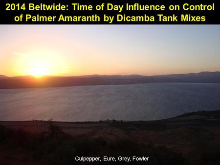 2014 Beltwide: Time of Day Influence on Control of Palmer Amaranth by Dicamba Tank Mixes Culpepper, Eure, Grey, Fowler.