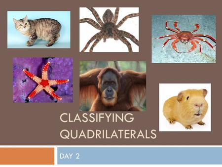 CLASSIFYING QUADRILATERALS DAY 2. Bellwork  Please begin working on P 293 (60-63)