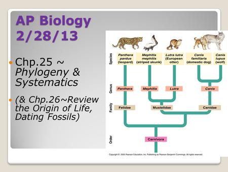 AP Biology 2/28/13 Chp.25 ~ Phylogeny & Systematics (& Chp.26~Review the Origin of Life, Dating Fossils)