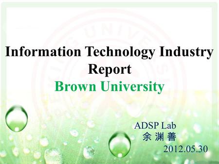 Information Technology Industry Report Brown University ADSP Lab 余 渊 善 2012.05.30.