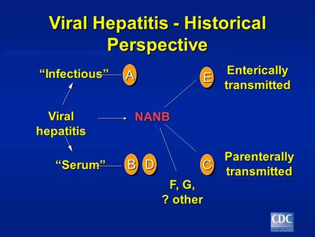 Viral Hepatitis - Historical Perspective A “Infectious” “Serum” Viral hepatitis Entericallytransmitted Parenterallytransmitted F, G, ? other E NANB BD.