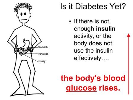 Is it Diabetes Yet? If there is not enough insulin activity, or the body does not use the insulin effectively…. the body's blood glucose rises.