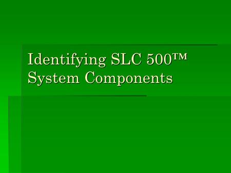 Identifying SLC 500™ System Components. SLC 500 System Options  The SLC 500 line of processors comprises both fixed and modular processor styles.: