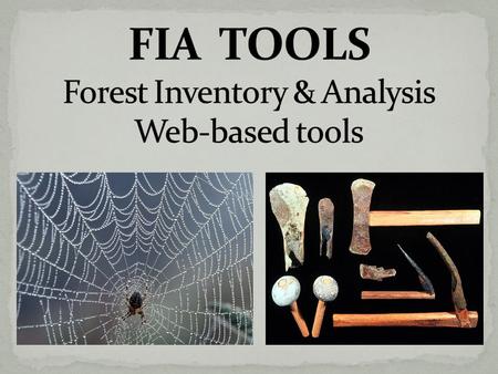  Interactive programs with a User Interface  Available 24-7, on the national FIA Web site  Easy access to the national FIA database Generate Reports.