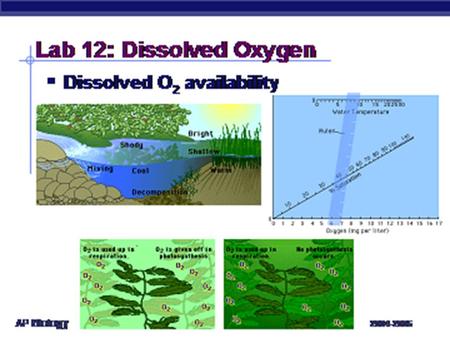 Lab 12: Dissolved Oxygen Description –measure primary productivity by measuring O 2 production –factors that affect amount of dissolved O 2 temperature.