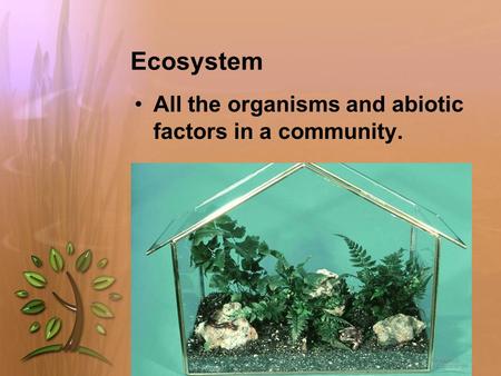 Ecosystem All the organisms and abiotic factors in a community.