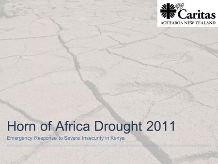 Horn of Africa Drought 2011 Emergency Response to Severe Insecurity in Kenya.