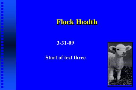 3-31-09 Start of test three Flock Health. Sheep Misnomers Sick sheep are dead sheep All sheep are born looking for a place to die.