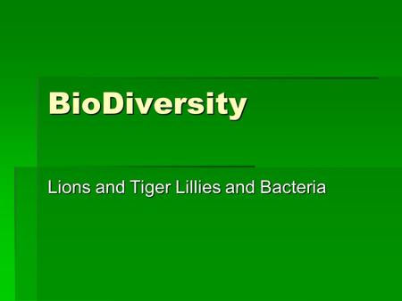 BioDiversity Lions and Tiger Lillies and Bacteria.