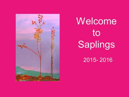 Welcome to Saplings 2015- 2016.