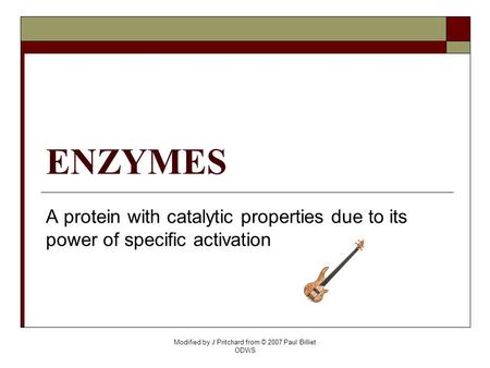 ENZYMES A protein with catalytic properties due to its power of specific activation Modified by J Pritchard from © 2007 Paul Billiet ODWS.