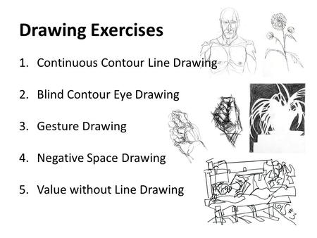 Drawing Exercises Continuous Contour Line Drawing