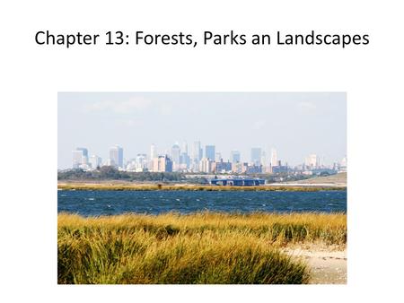 Chapter 13: Forests, Parks an Landscapes. Modern Conflicts over Forestland and Forest Resources In recent decades forest conservation has become an international.