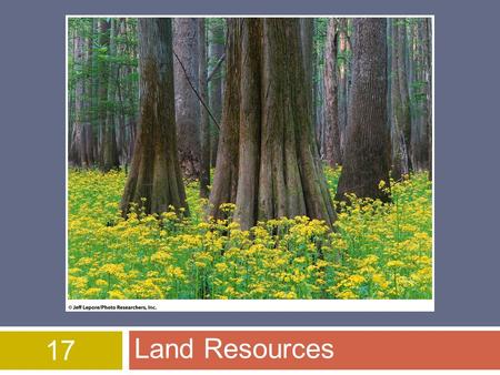 17 Land Resources. Land Use – World Wide  One of the best ways to protect endangered & threated species  restore natural areas  World wide humans use.