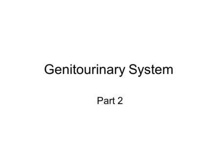 Genitourinary System Part 2. Spermatogenesis The production of spermatozoa Produced in the testis: