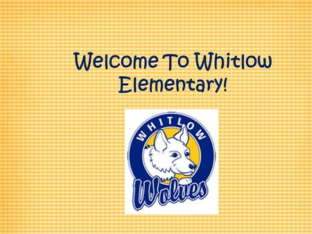Welcome To Whitlow Elementary!. School Hours 8:20 AM - 3:00 PM Students may be dropped off in the rear of the building in the car rider line no earlier.
