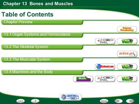 Chapter 13 Bones and Muscles Table of Contents Chapter Preview 13.1 Organ Systems and Homeostasis 13.2 The Skeletal System 13.3 The Muscular System 13.4.