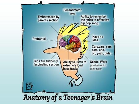 What do I know about the teenage brain?