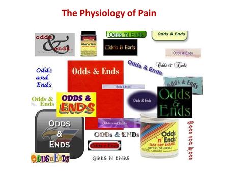 The Physiology of Pain. Pain Receptors bare sensory nerve endings innervate all organs and tissues (except the brain) respond to all types of noxious.