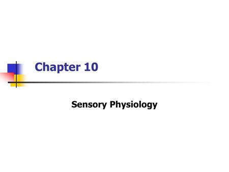 Chapter 10 Sensory Physiology.