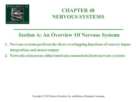 CHAPTER 48 NERVOUS SYSTEMS Copyright © 2002 Pearson Education, Inc., publishing as Benjamin Cummings Section A: An Overview Of Nervous Systems 1. Nervous.