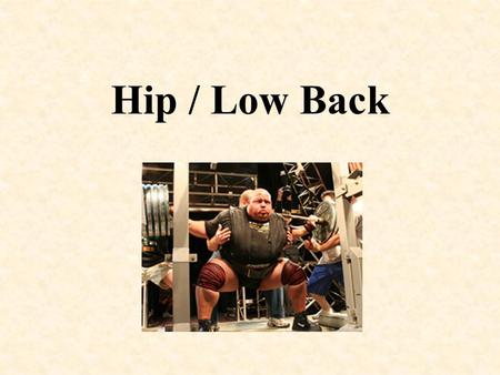 Hip / Low Back. Hip Anatomy - Bones Hip Anatomy - Ligaments.
