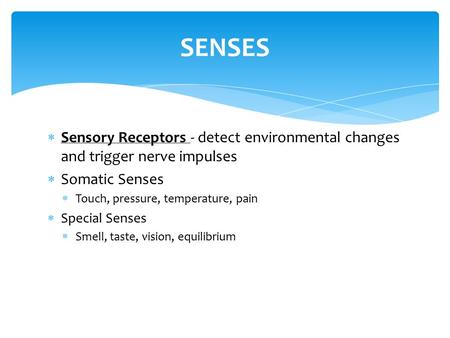  Sensory Receptors - detect environmental changes and trigger nerve impulses  Somatic Senses  Touch, pressure, temperature, pain  Special Senses 