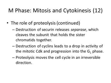 M Phase: Mitosis and Cytokinesis (12)