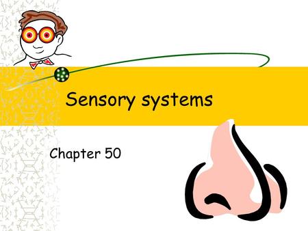 Sensory systems Chapter 50. Five senses Touch Taste Smell Sound Vision.