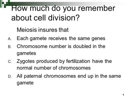 How much do you remember about cell division?