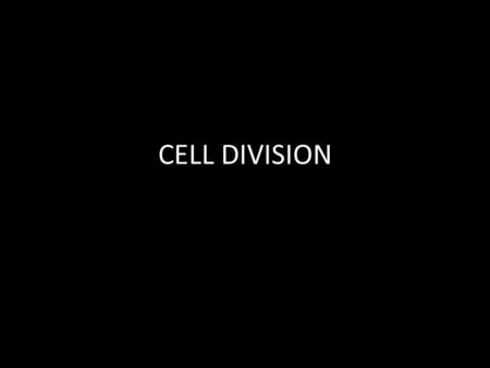 CELL DIVISION. Think about it… How many different cells make up our body?