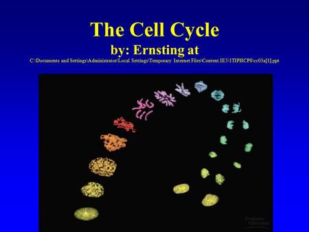 The Cell Cycle by: Ernsting at C:\Documents and Settings\Administrator\Local Settings\Temporary Internet Files\Content.IE5\1TIPHCP8\cc03a[1].ppt.