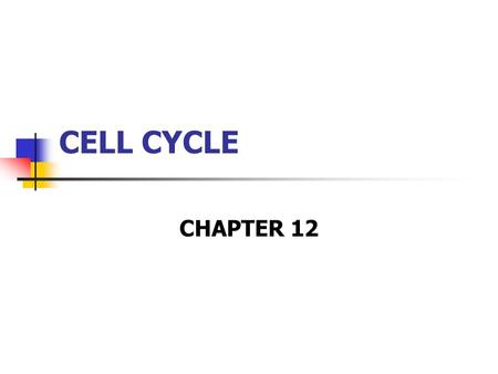 CELL CYCLE CHAPTER 12.