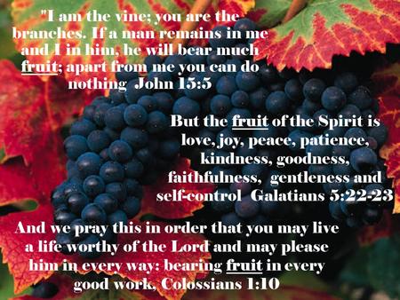 I am the vine; you are the branches. If a man remains in me and I in him, he will bear much fruit; apart from me you can do nothing John 15:5 But the.