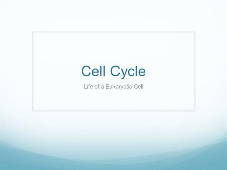 Cell Cycle Life of a Eukaryotic Cell. Cell Cycle.