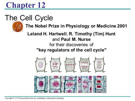 Copyright © 2005 Pearson Education, Inc. publishing as Benjamin Cummings Chapter 12 The Cell Cycle Leland H. Hartwell, R. Timothy (Tim) Hunt and Paul M.