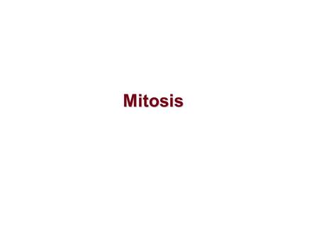 Mitosis. What is the function of mitosis? - Growth - Repair of damage cells - Asexual reproduction (binary fission, budding and vegetative reproduction)