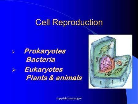 Cell Reproduction  Prokaryotes Bacteria  Eukaryotes Plants & animals copyright cmassengale.