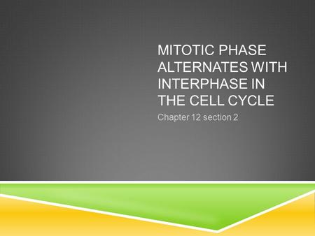 MITOTIC PHASE ALTERNATES WITH INTERPHASE IN THE CELL CYCLE Chapter 12 section 2.