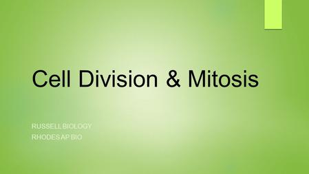 Cell Division & Mitosis RUSSELL BIOLOGY RHODES AP BIO.
